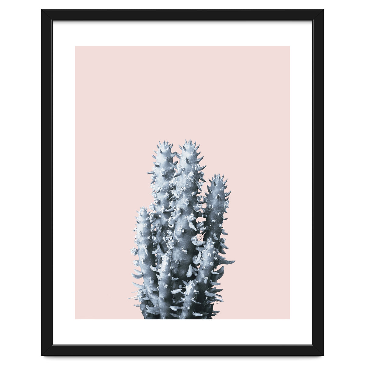 Cactus collection BL-III