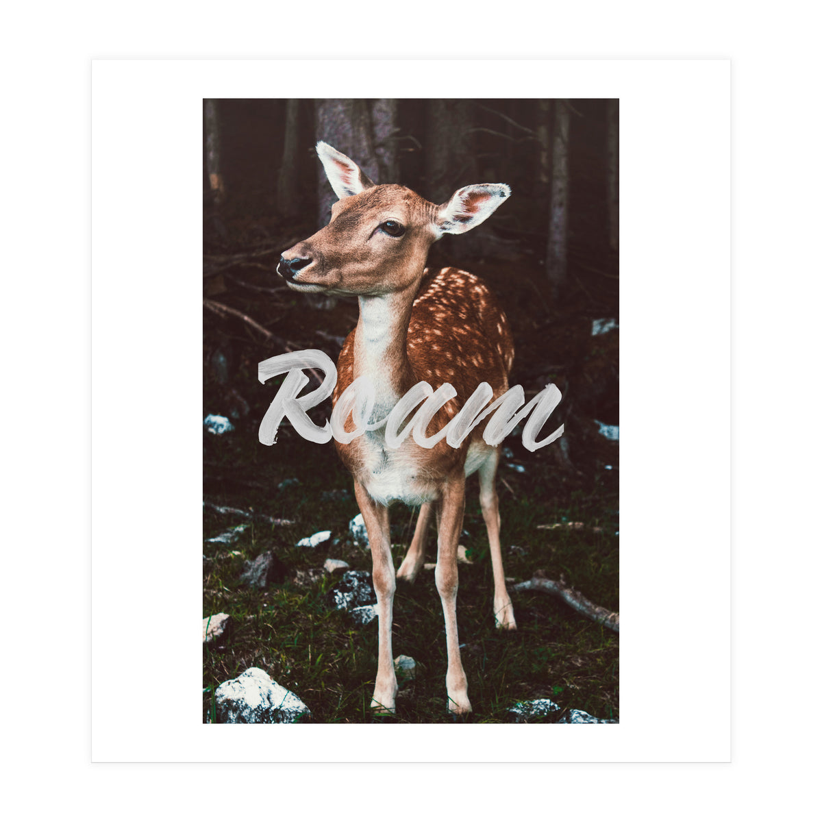 Roam (Print Only)