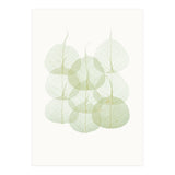 Cc Leaves 02 (Print Only) thumbnail