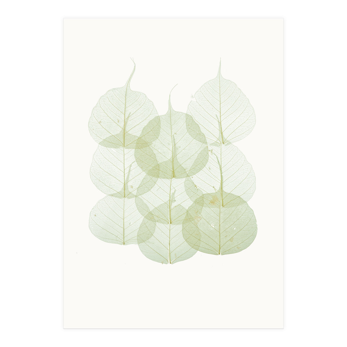 Cc Leaves 02 (Print Only)