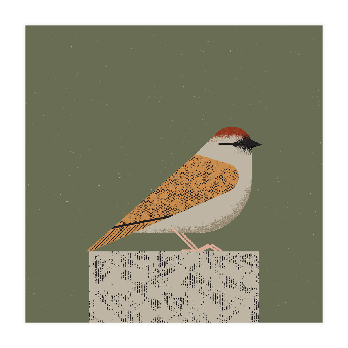Sparrow  (Print Only)