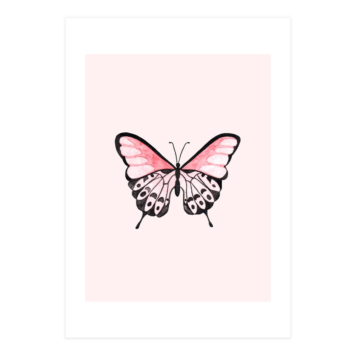 Pink Butterfly (Print Only)