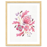 Protea | Floral Pink