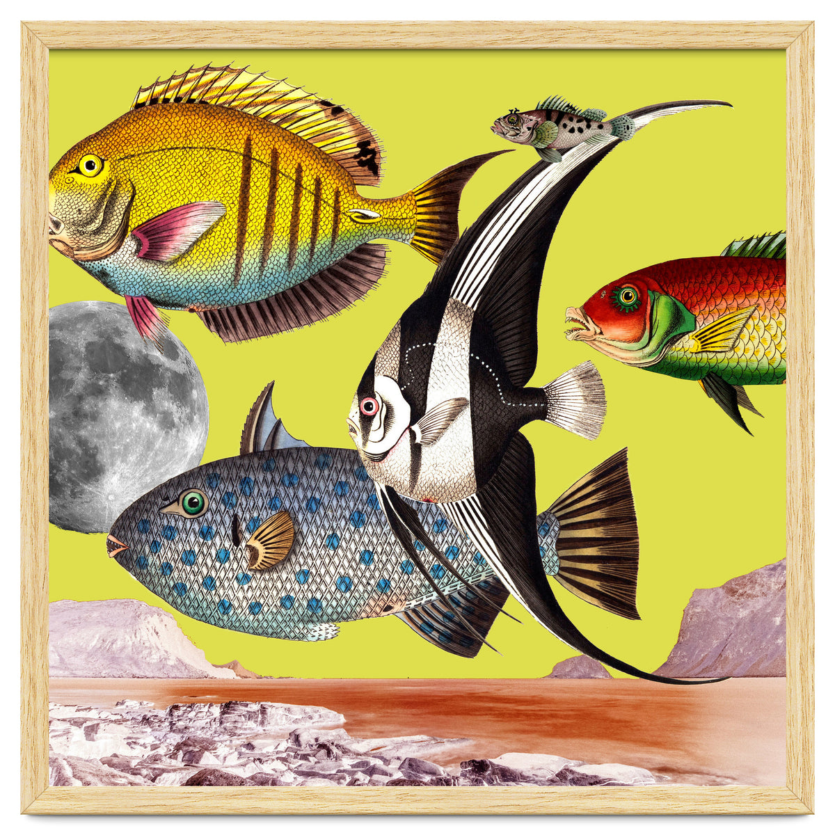 Plenty Of Fish In The Sea Yellow