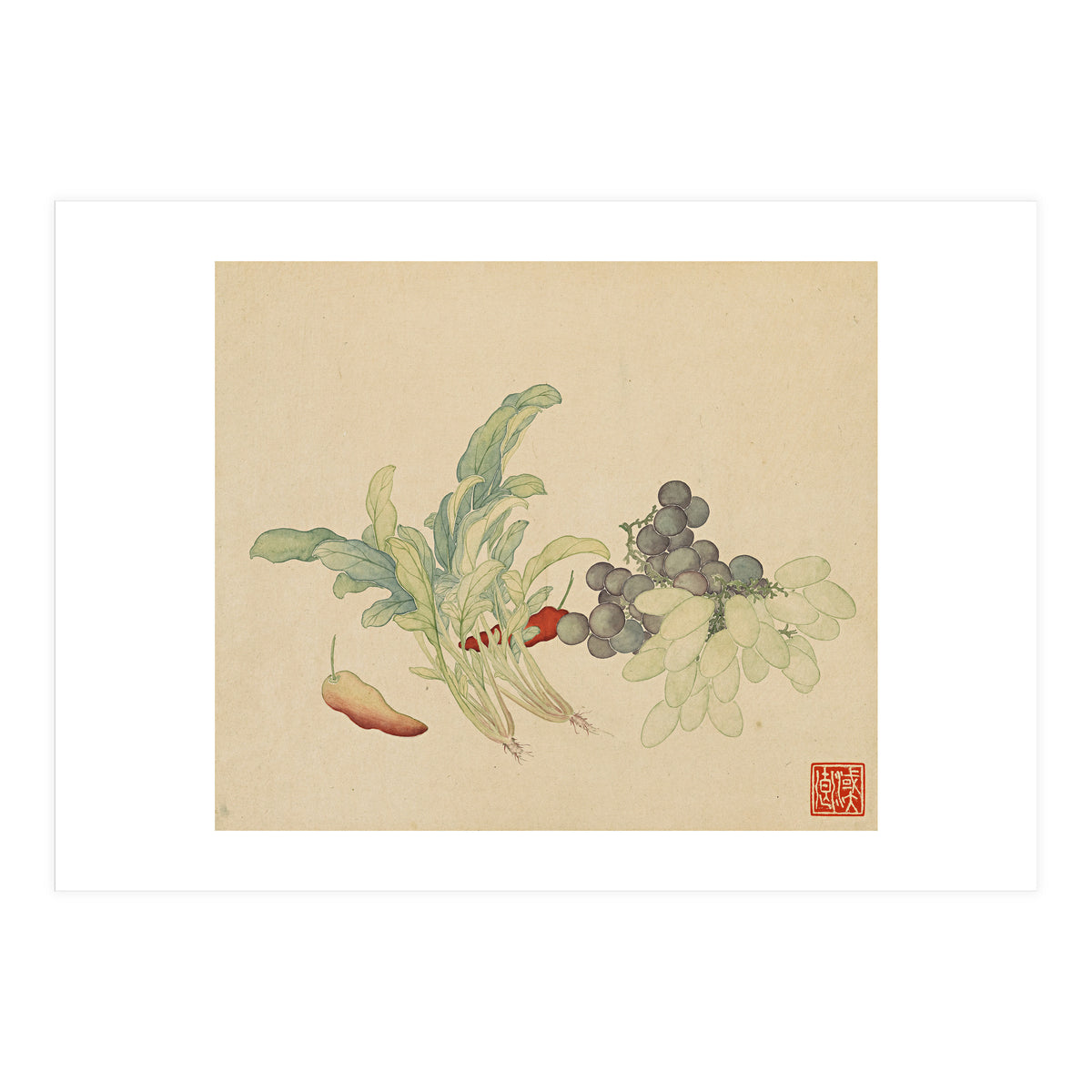 Wang Chengyu ~ Flowers And Vegetables, Vegetables, Fruits, Peppers, Millet Hot, Grapes, Spinach (Print Only)