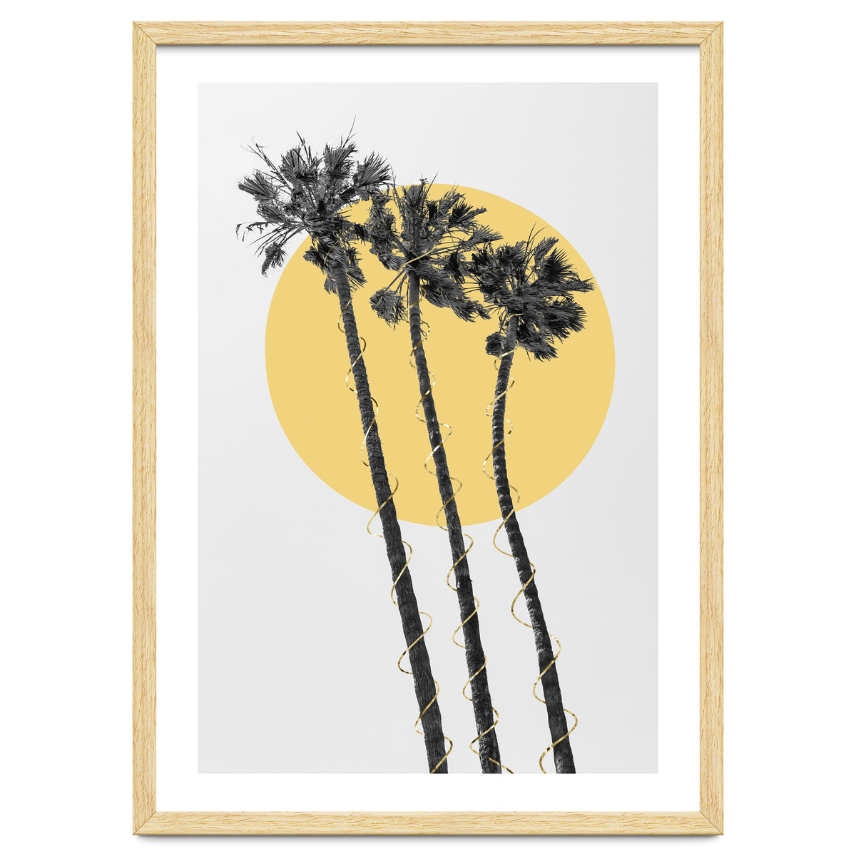 Palm Trees in the sun