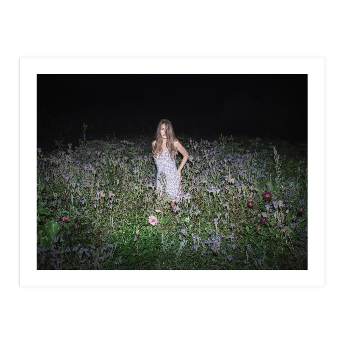 Insomnia (Print Only)