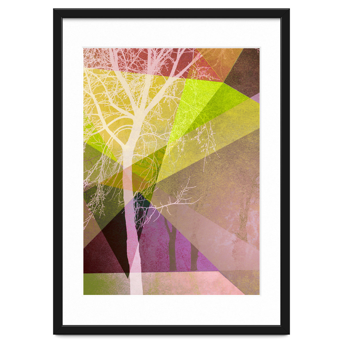 P22 Trees And Triangles