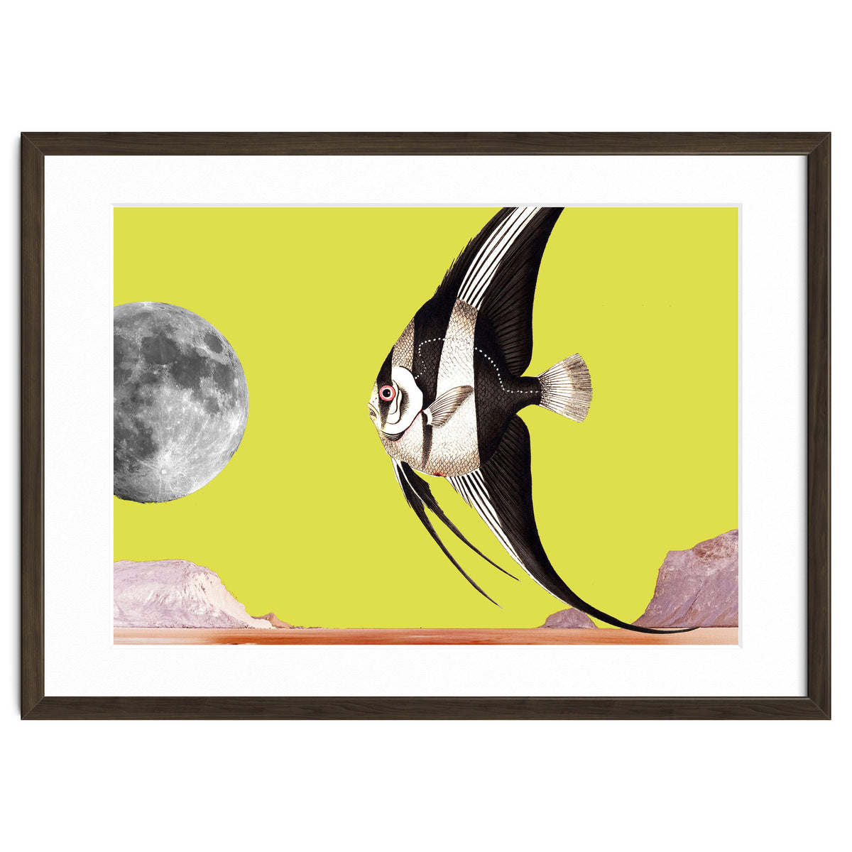 Plenty of fish in the sea yellow