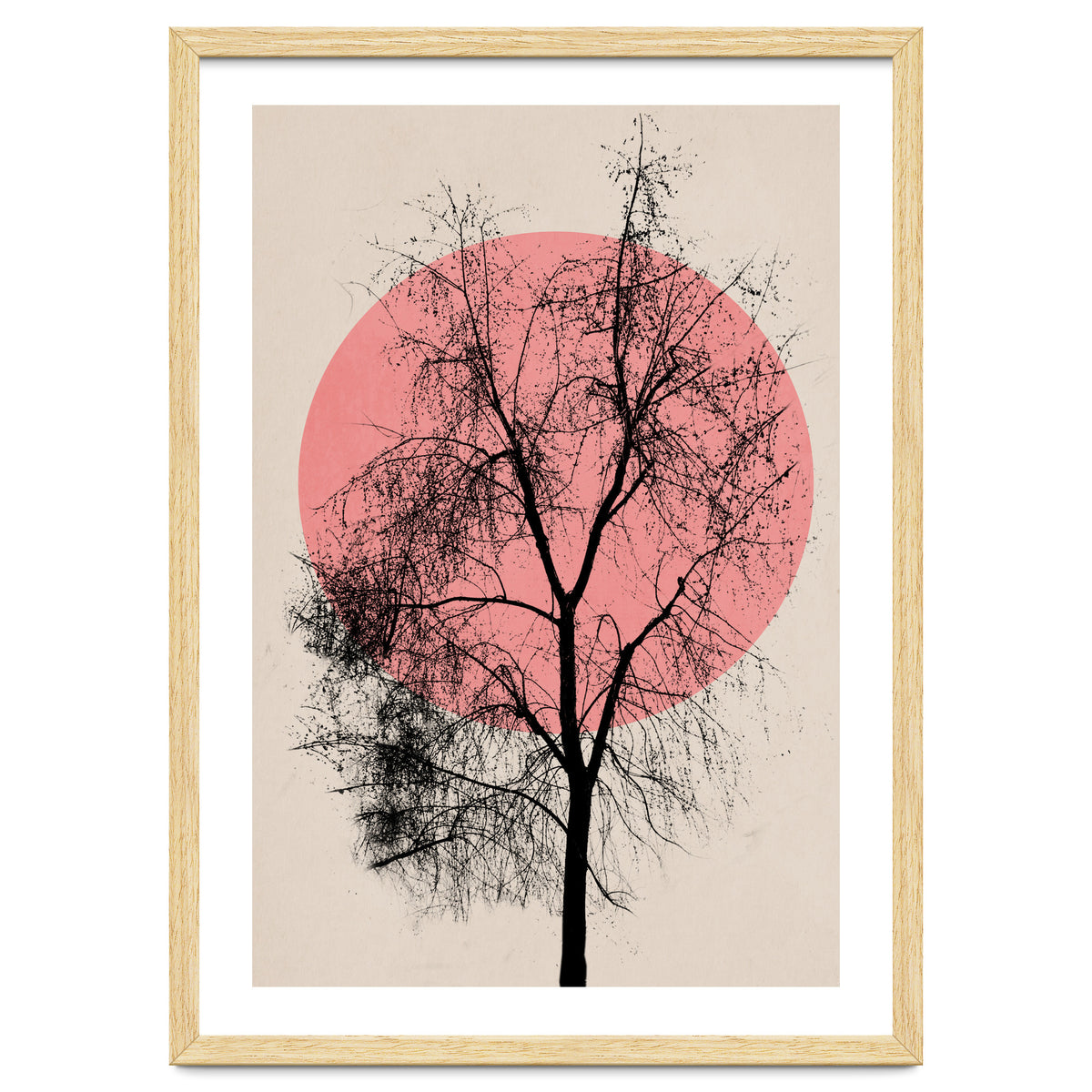 Memories And Moments