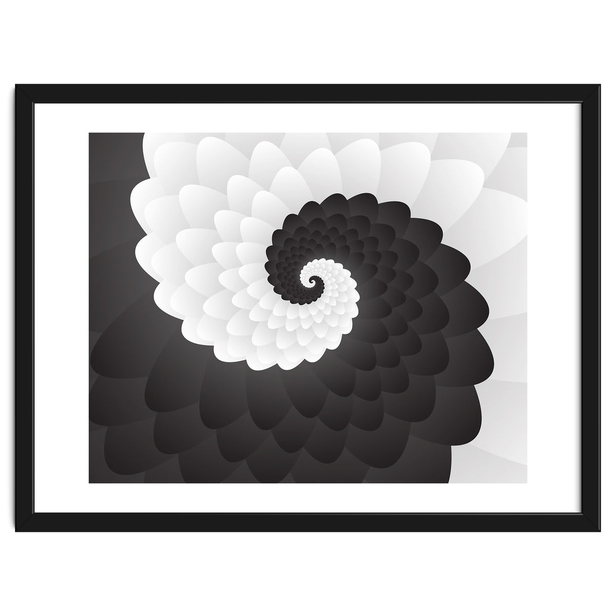 Mono Chrome Spiral Pattern