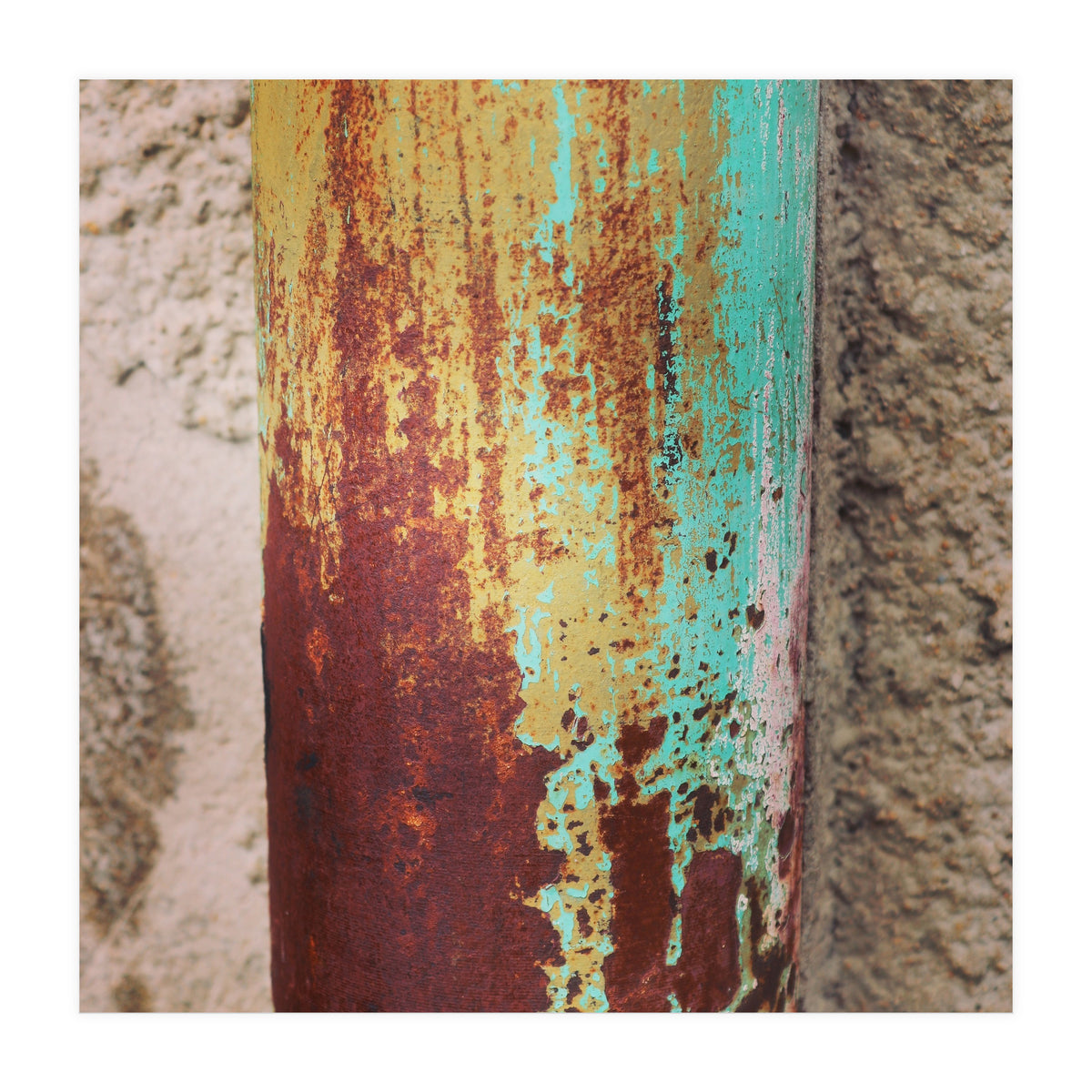 rust and colour (Print Only)