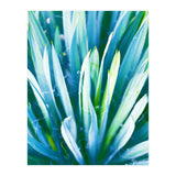 Heart Of Nature (Print Only) thumbnail