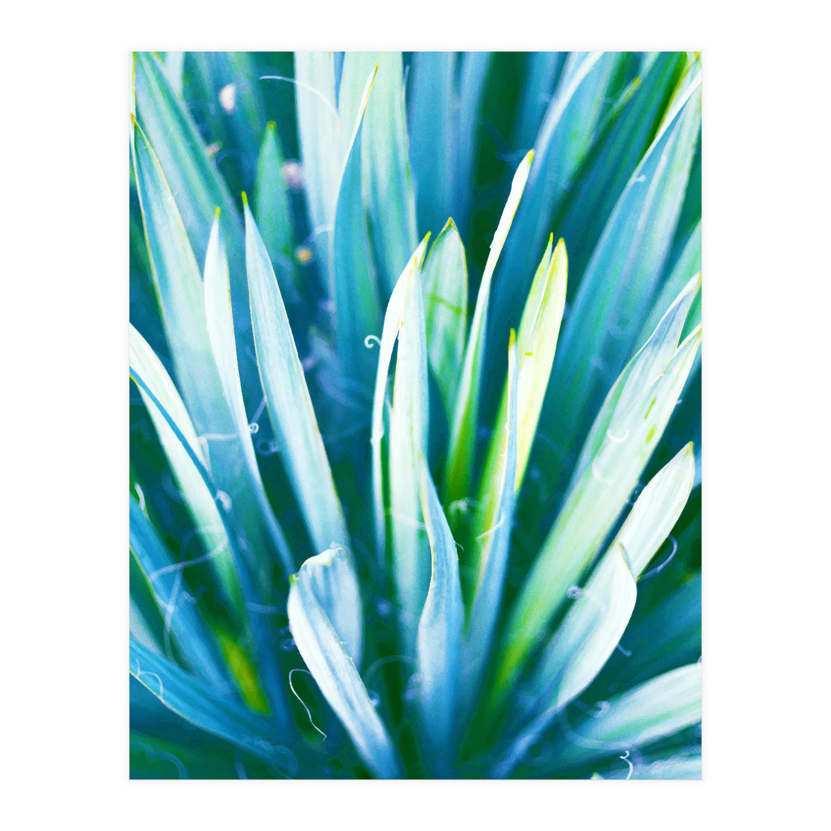 Heart Of Nature (Print Only)