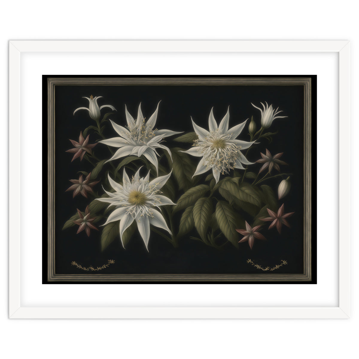 Edelweiss Vintage Illustration