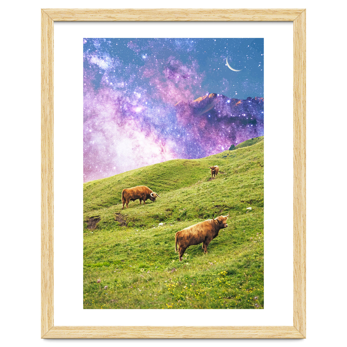 Space Cow Series II