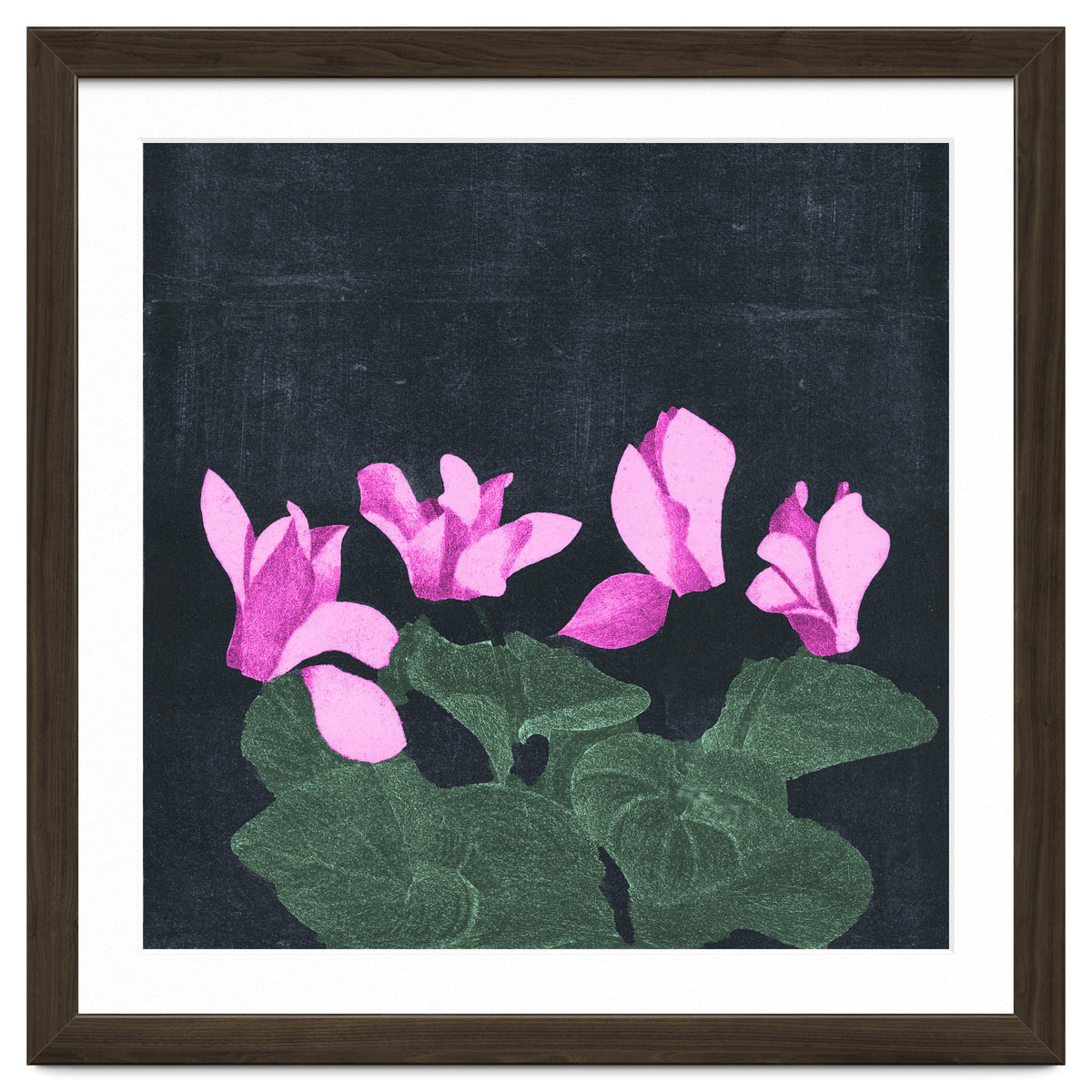 Cyclamen