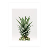 Pineapple Top (Print Only) thumbnail