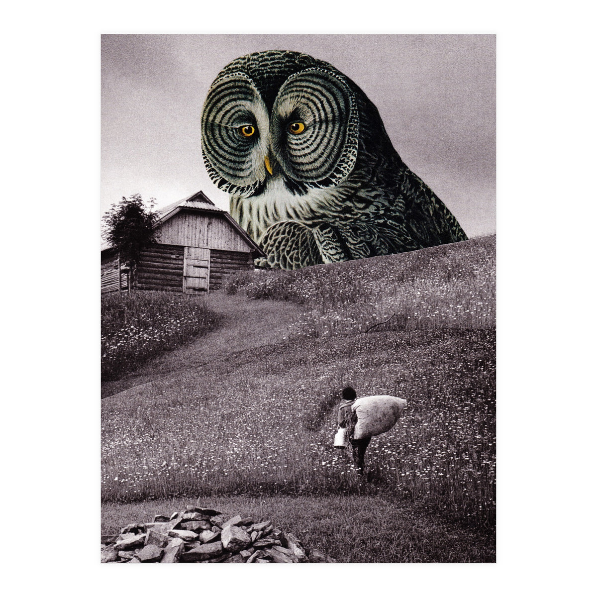 Nocturnal (Print Only)