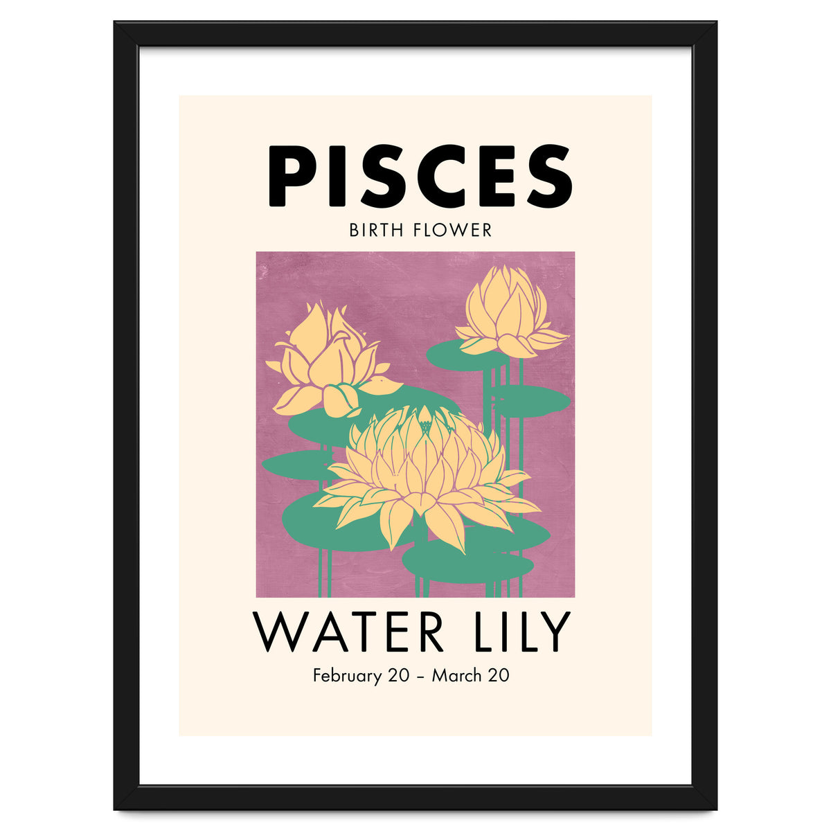Pisces Birth Flower Water Lily
