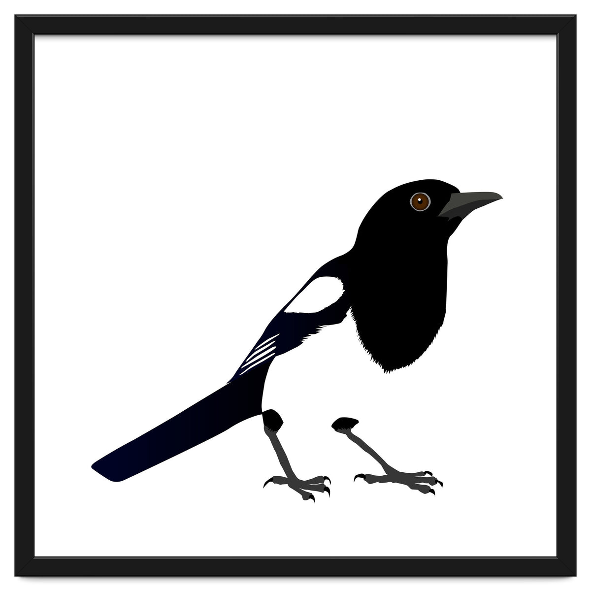 Magpie