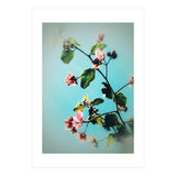 BLOOM & BEAUTY (Print Only) thumbnail