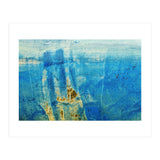 Quinn (Print Only) thumbnail