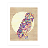 Owl (Print Only) thumbnail