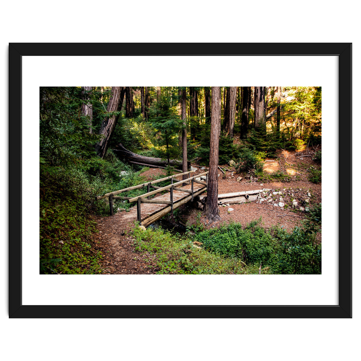 Ewoldsen Loop Bridge