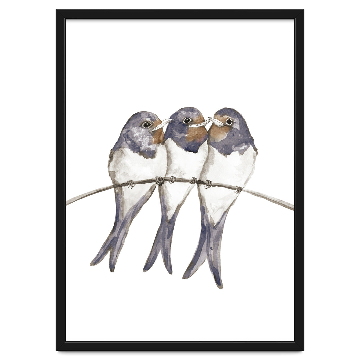 Three young swallows