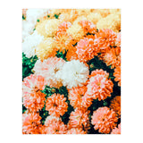 Garden Song (Print Only) thumbnail