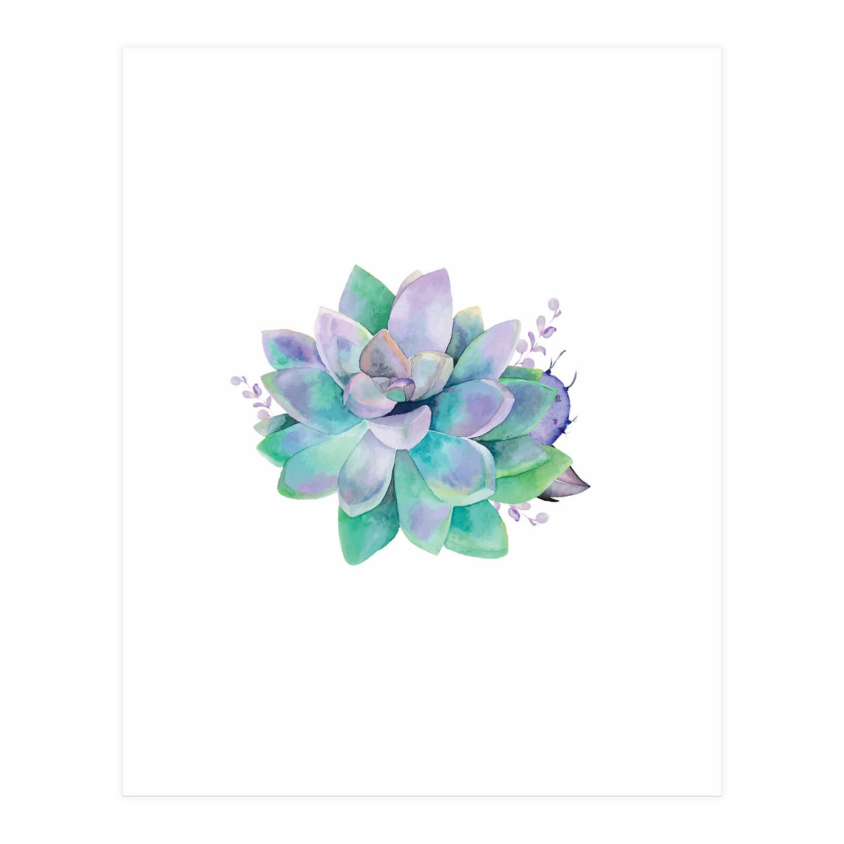 Aqua Succulent (Print Only)