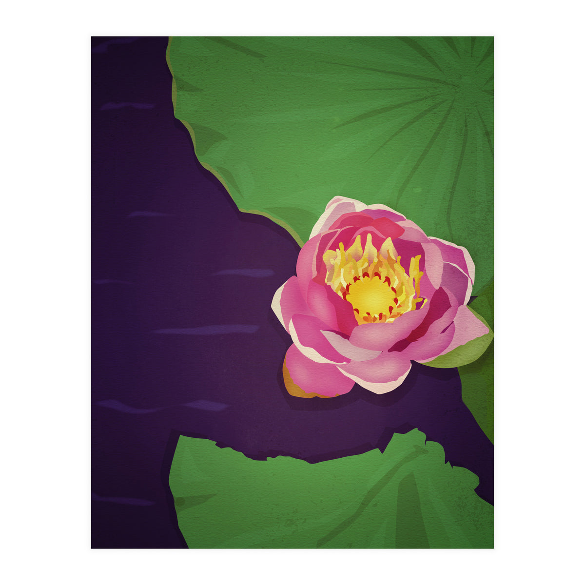 Water lily (Print Only)