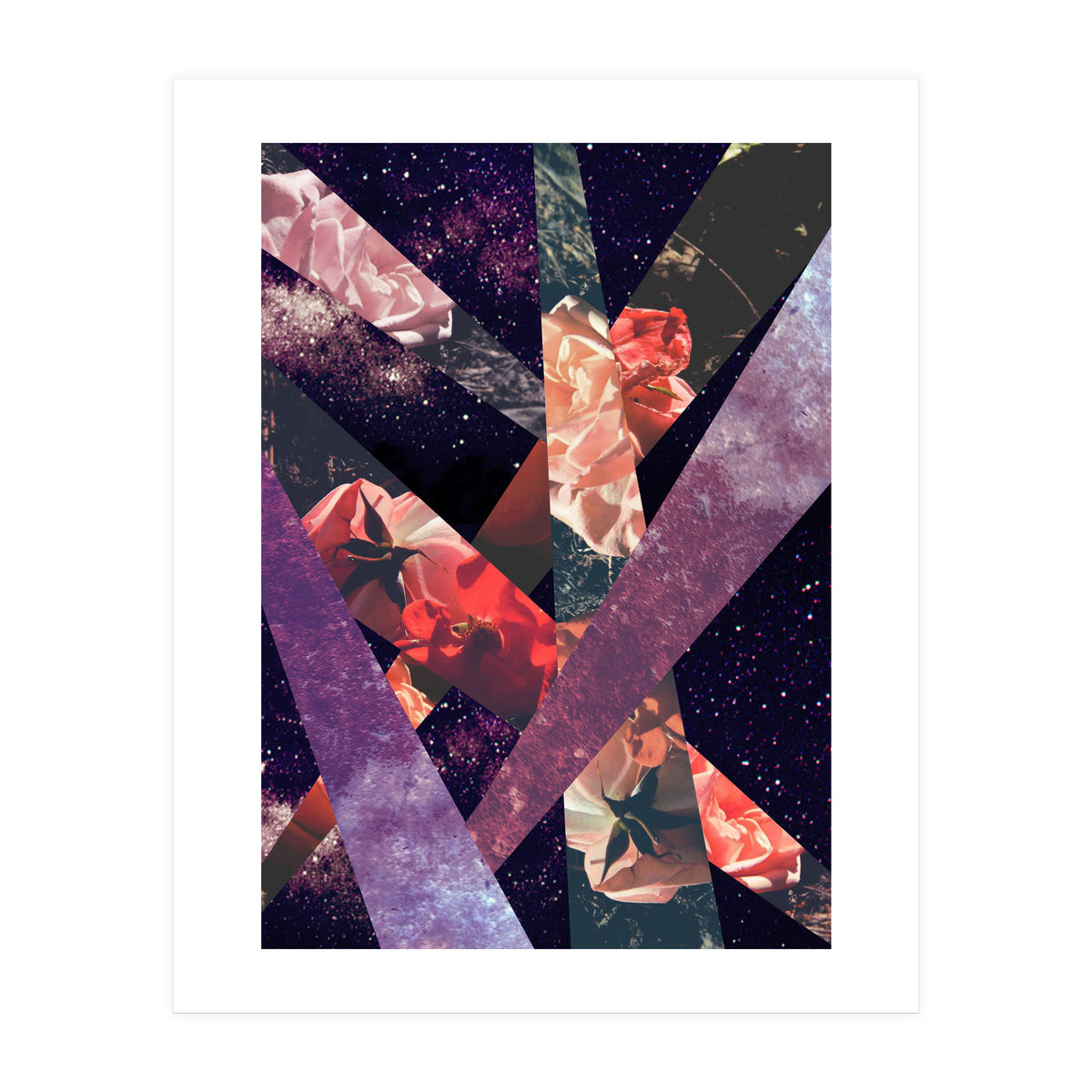 Roses In The Galaxy (Print Only)