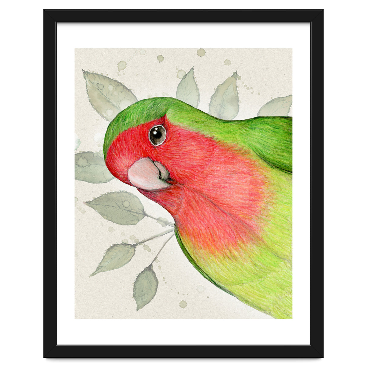 Curious lovebird