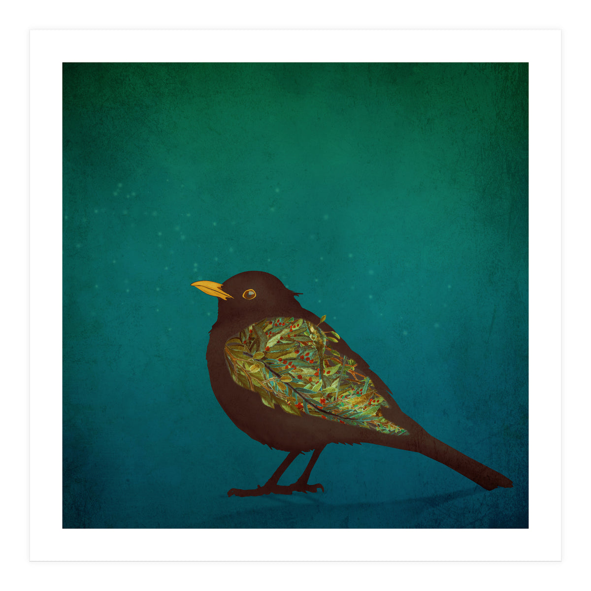 Camouflage: The Blackbird (Print Only)