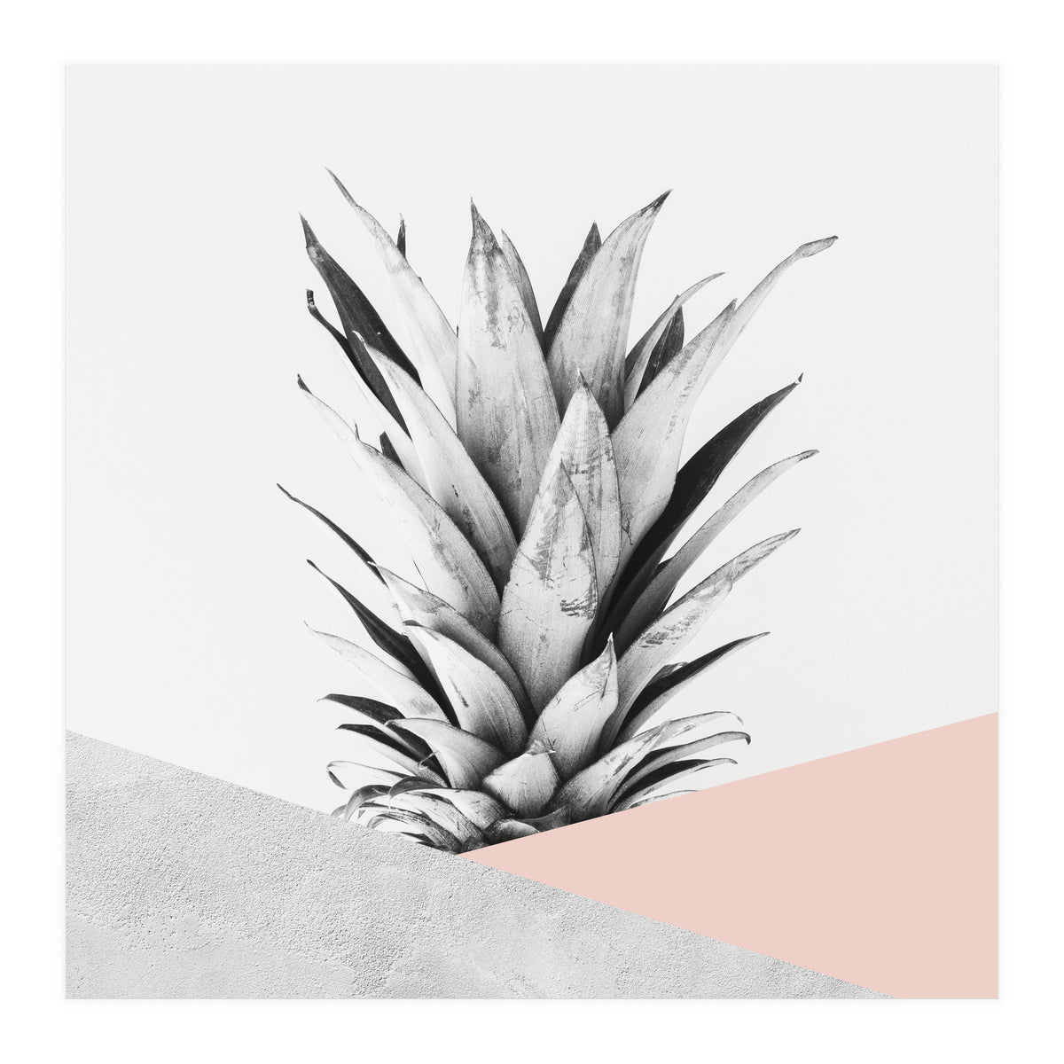 Scandinavian pineapple II (Print Only)