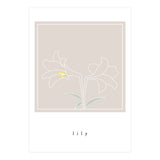 lily flower (Print Only) thumbnail