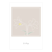 lily flower (Print Only)