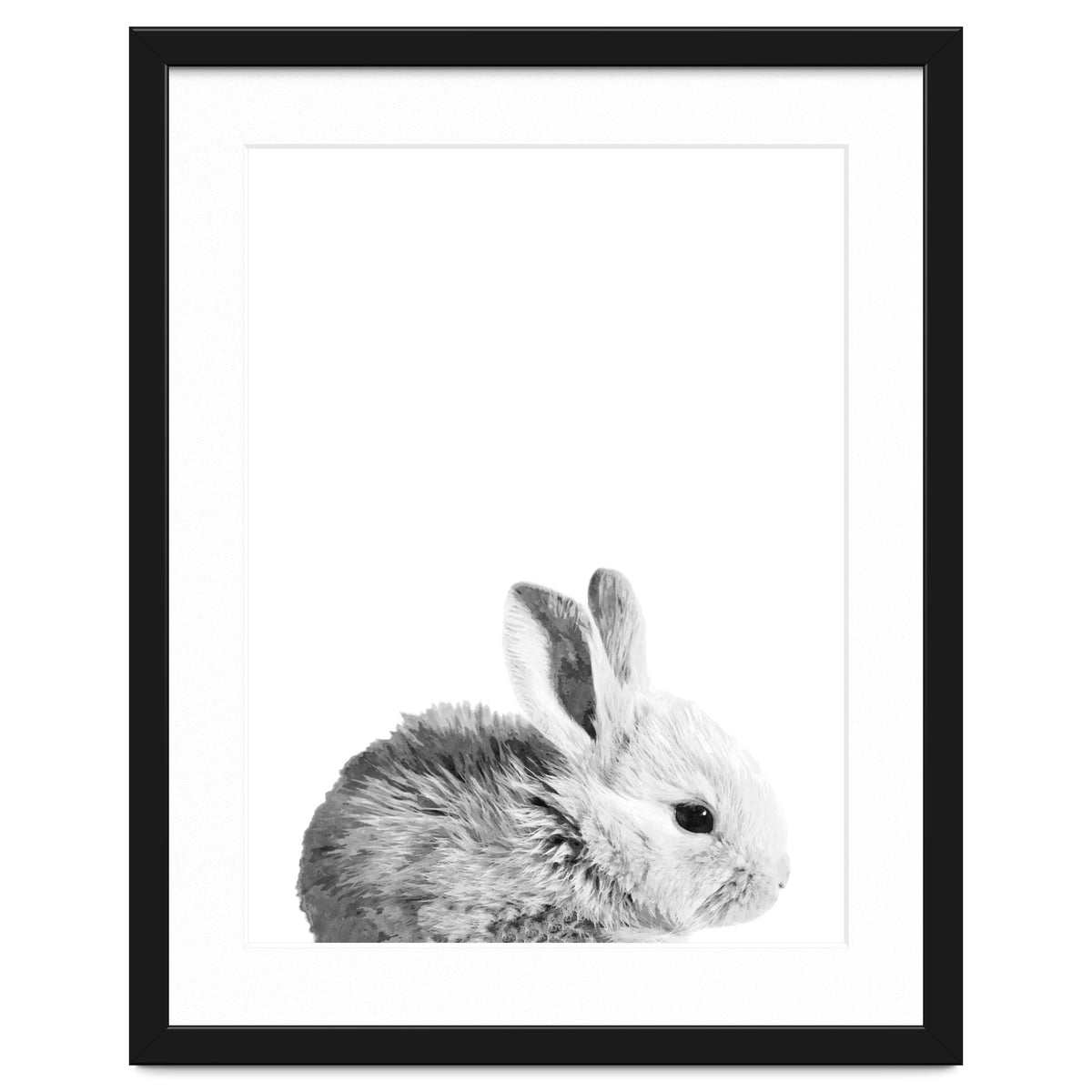 Black and White Bunny Portrait