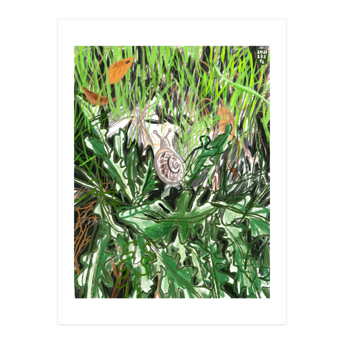 A Snail Goes (Print Only)