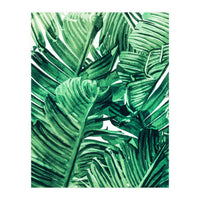 Tropical State of Mind | Watercolor Palm Banana Leaves Painting | Botanical Jungle Bohemian Plants (Print Only)