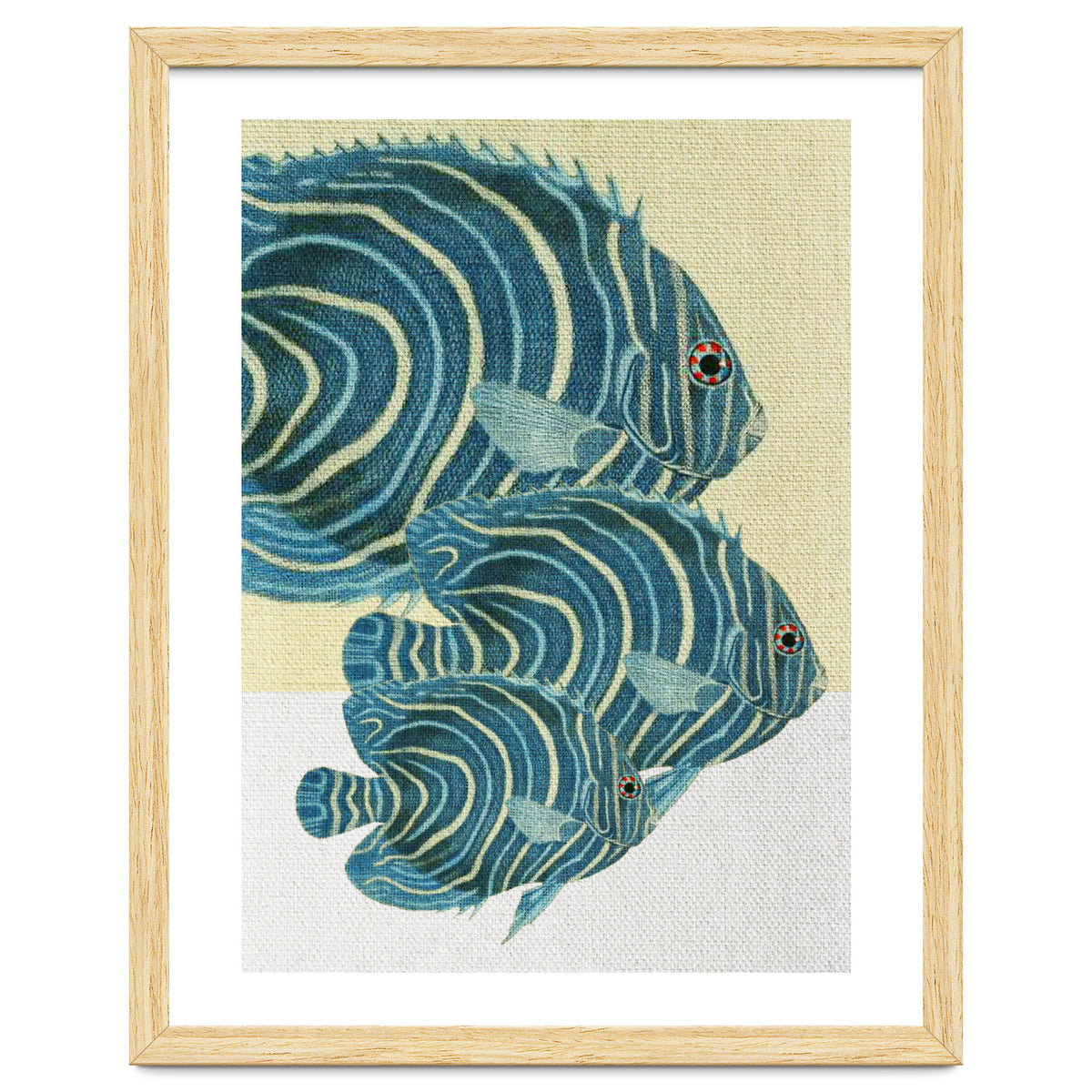 Fish Classic Designs 9