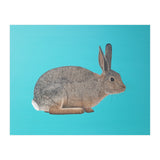 Rabbit (Print Only) thumbnail
