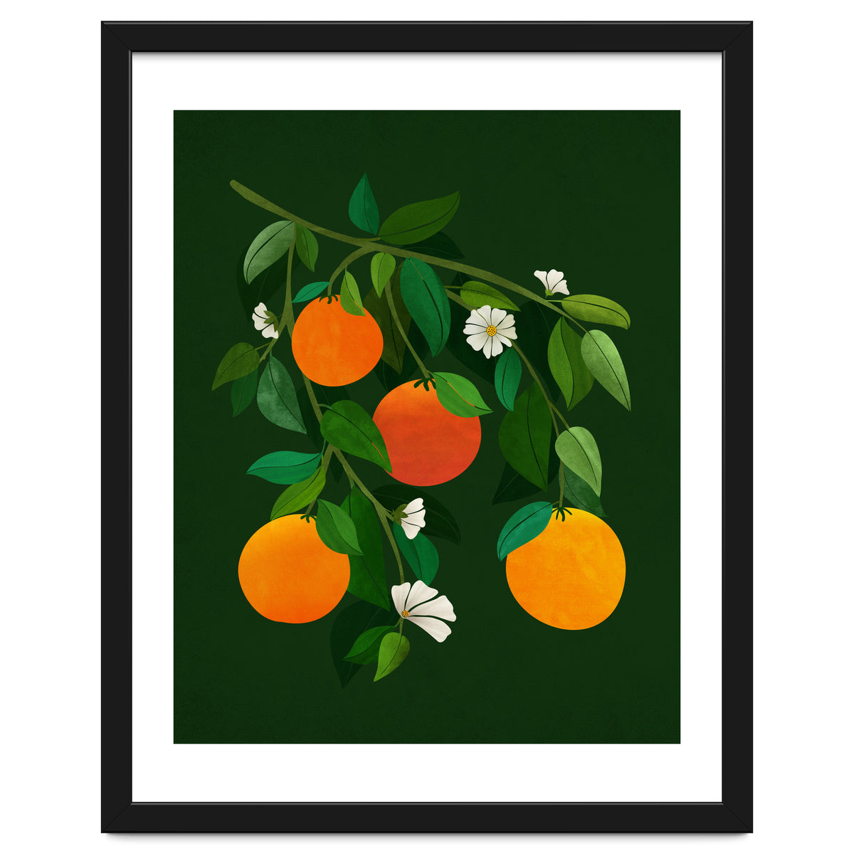 Oranges and Blossoms