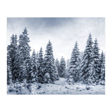 Winterland (Print Only) thumbnail