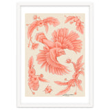 Crockery Print thumbnail