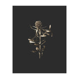Golden Botanicals -  Square (Print Only) thumbnail