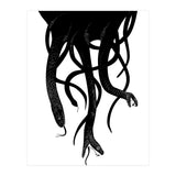 Snakes (Print Only) thumbnail