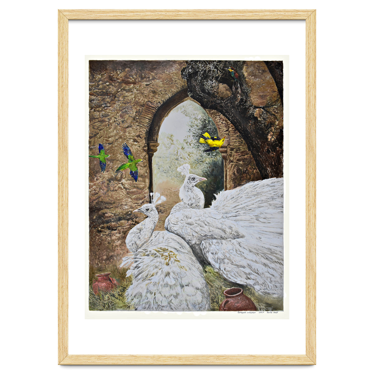 Portuguese Collection